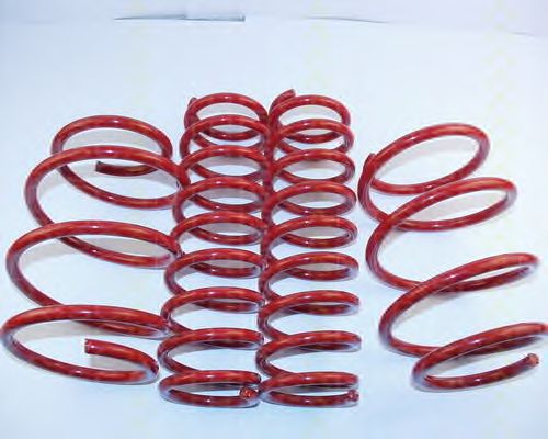 Suspension Kit, coil springs 8755 11015