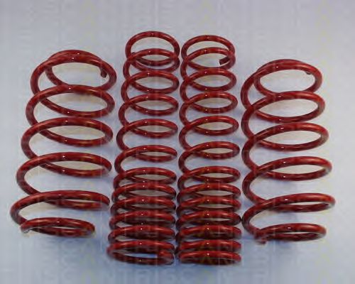 Suspension Kit, coil springs 8755 29011