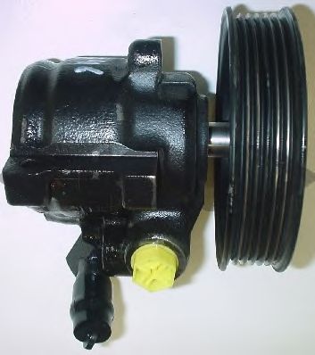Pompa idraulica, Sterzo 53846