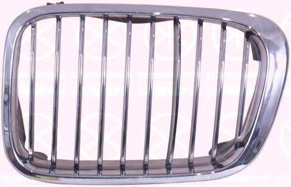 Radiator Grille 0061991A1