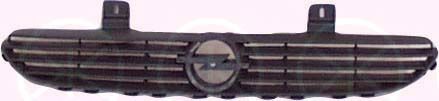Radiateurgrille 5022993A1