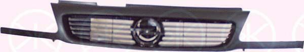 Radiateurgrille 5050992A1