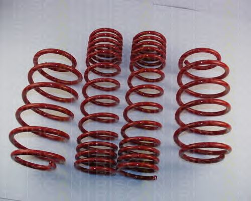 Suspension Kit, coil springs 8755 29001