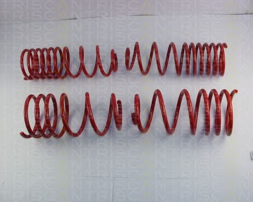 Suspension Kit, coil springs 8755 29038