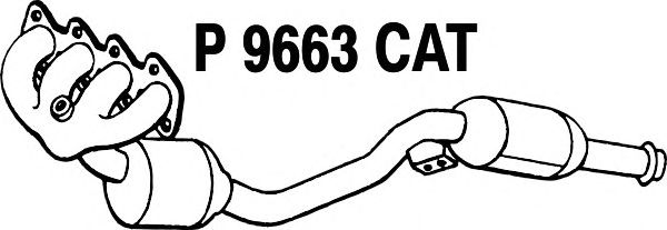 Katalysator P9663CAT