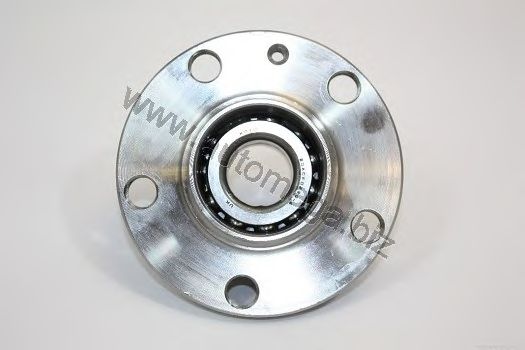 Wheel Bearing Kit 1059806116Q0