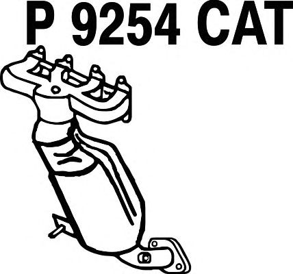 Catalizador P9254CAT